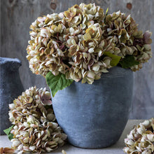 Load image into Gallery viewer, Hydrangea Stem- Dusk
