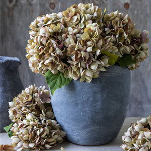 Hydrangea Stem- Dusk