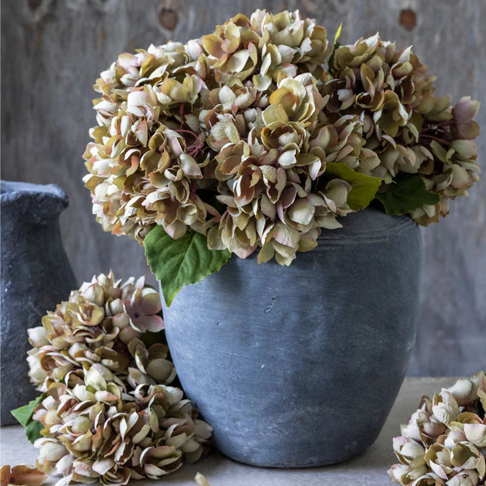 Hydrangea Stem- Dusk