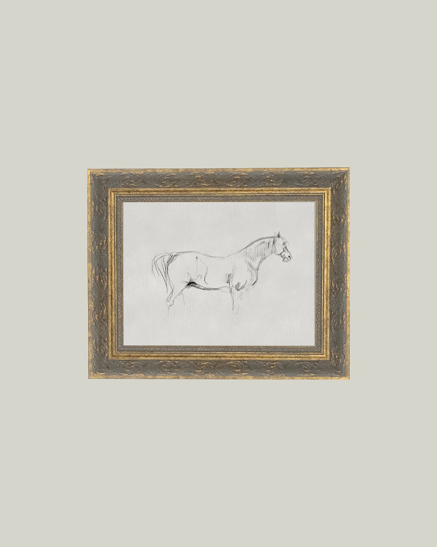 Horse Sketch