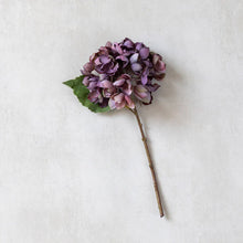 Load image into Gallery viewer, Hydrangea Stem- Damson
