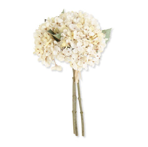 Hydrangea Bundle