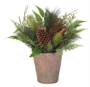 Potted Pine