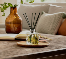 Load image into Gallery viewer, Frasier Fir Petite Diffuser
