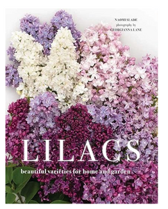 Lilacs: Beautiful Varieties for Home and Garden