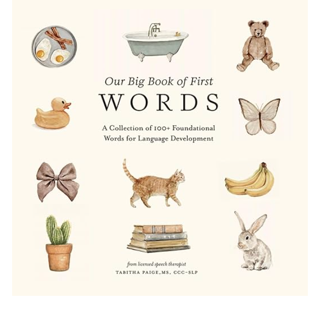 Our Big Book of First Words