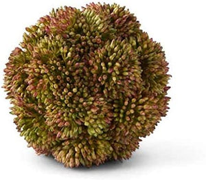 4" Sedum Ball