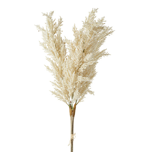 Pampas Bundle