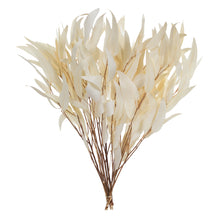 Load image into Gallery viewer, Bleached Willow Eucaplytus
